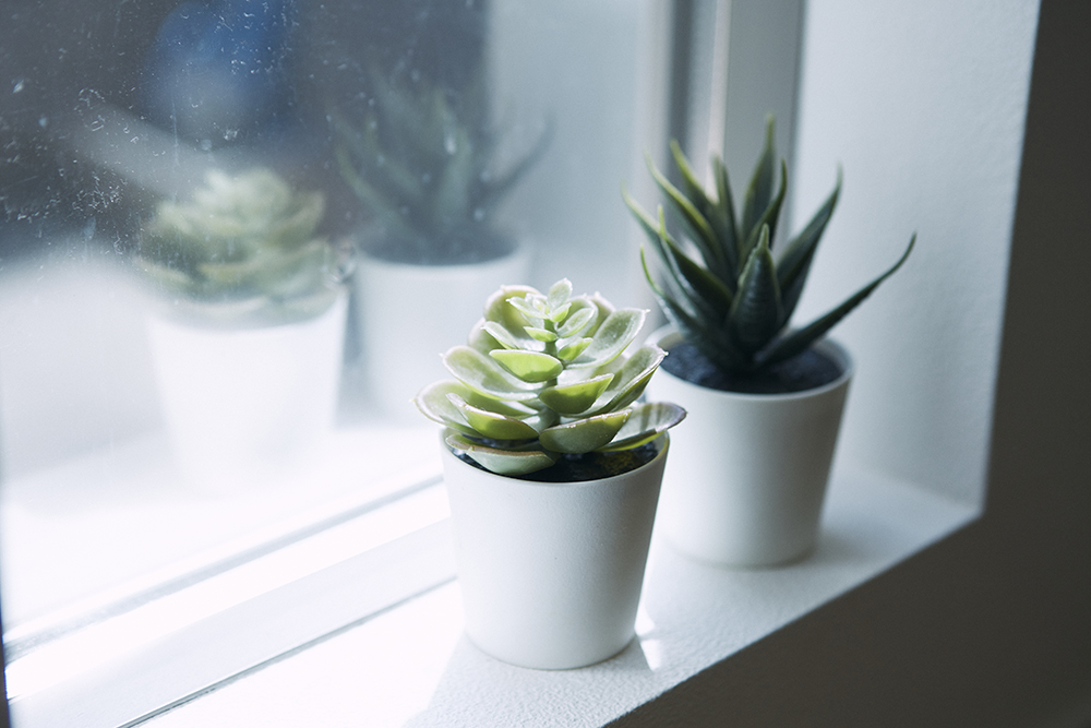 Warmth