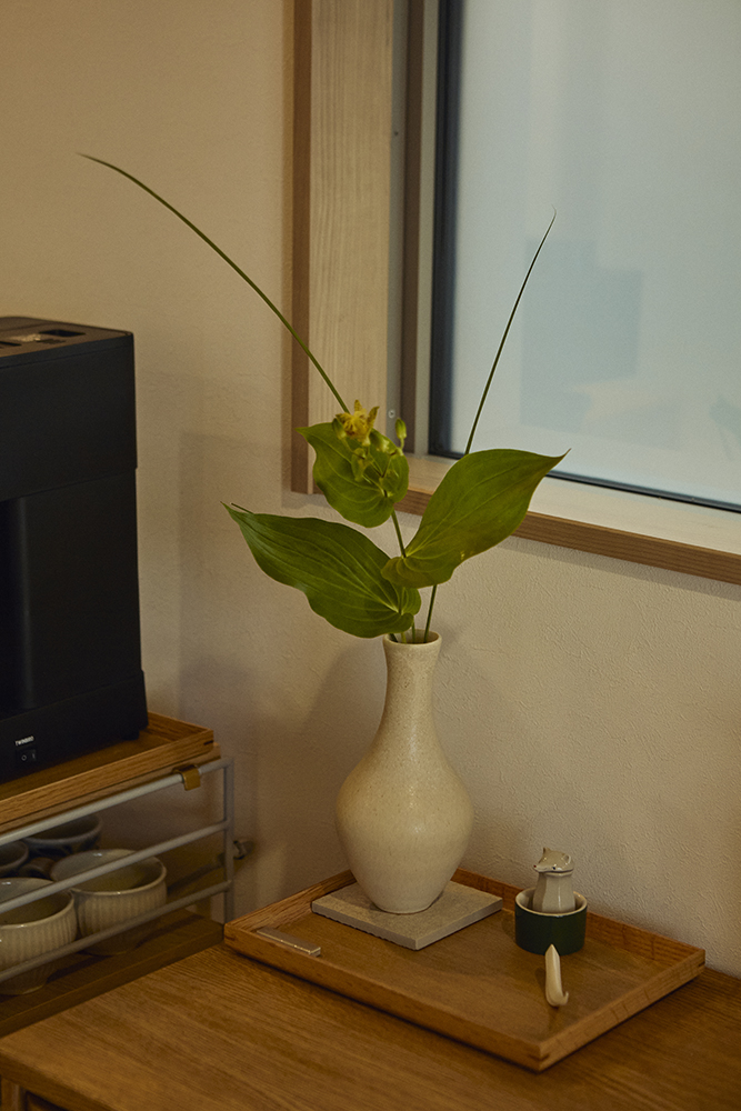 ナチュラルな木とホワイトが調和する、温もりあふれる植物と暮らす家｜埼玉県春日部市
