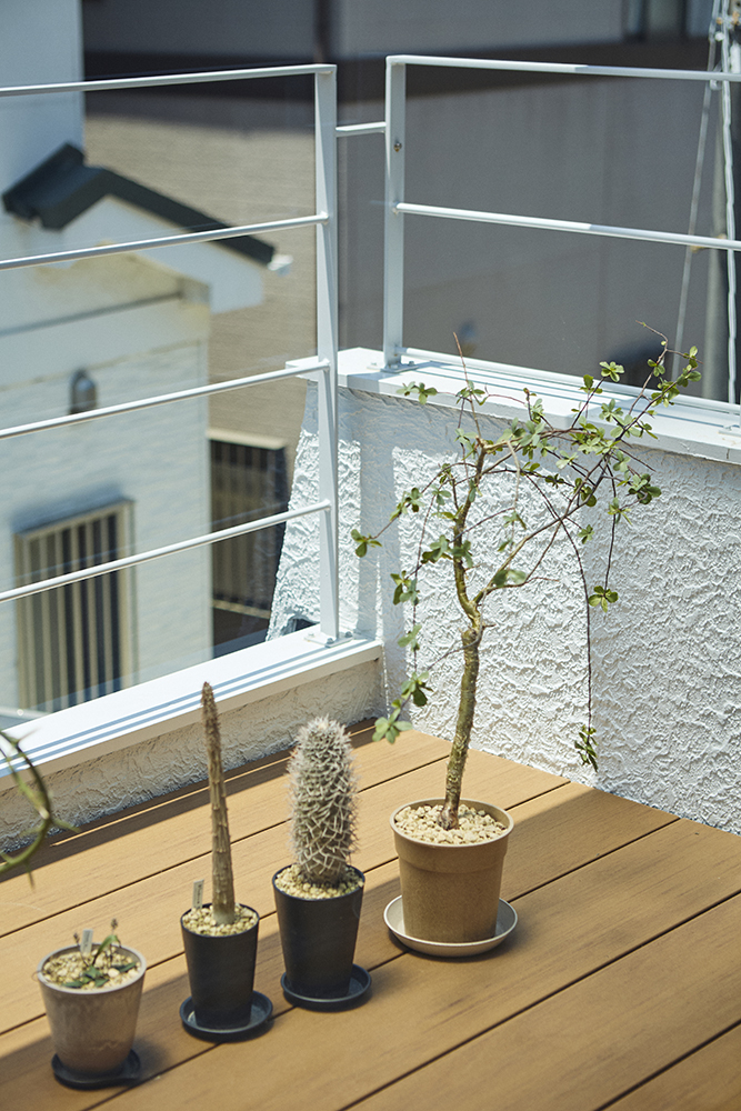 ナチュラルな木とホワイトが調和する、温もりあふれる植物と暮らす家｜埼玉県春日部市