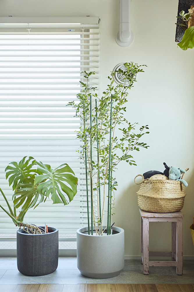 アクタスのソファを主役に描く、暮らしに寄り添うデザインが日常を特別に変える|埼玉県戸田市