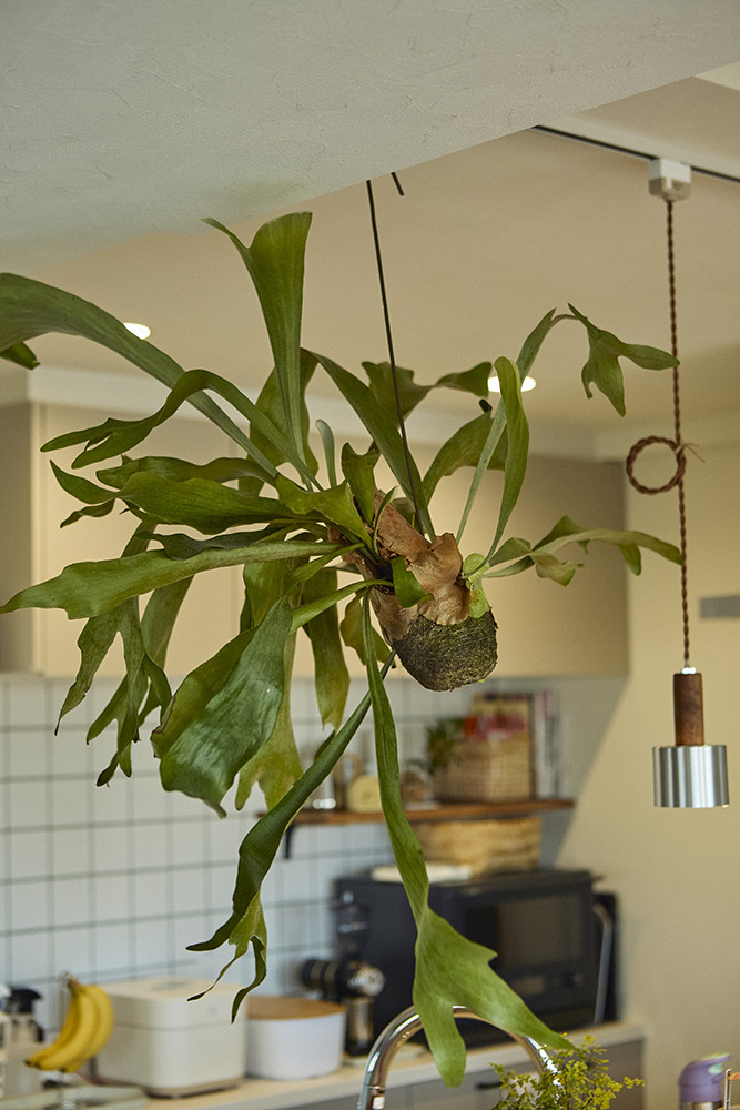 アクタスのソファを主役に描く、暮らしに寄り添うデザインが日常を特別に変える|埼玉県戸田市