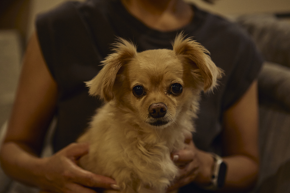 受け継いだ家を、自分らしい豊な暮らしに。木の質感が映えるリノベーション|埼玉県越谷市