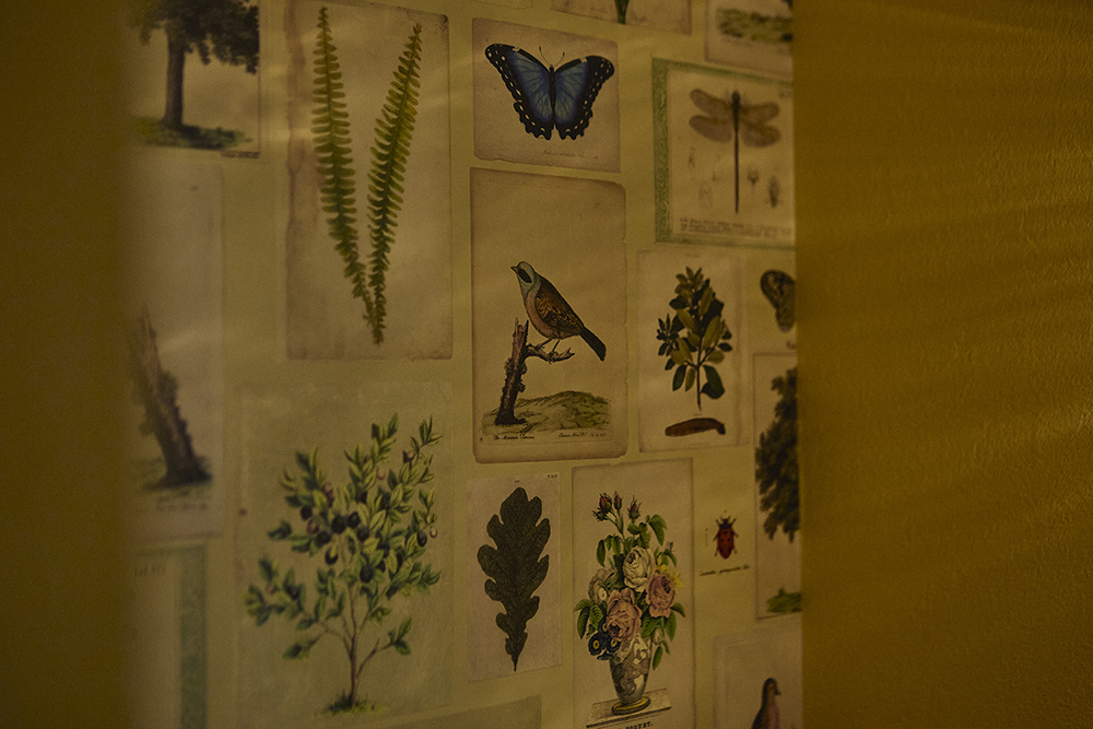 家族がのびのび暮らせる、やさしいカントリーヴィンテージの家|埼玉県さいたま市