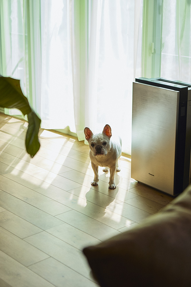家族がのびのび暮らせる、やさしいカントリーヴィンテージの家|埼玉県さいたま市