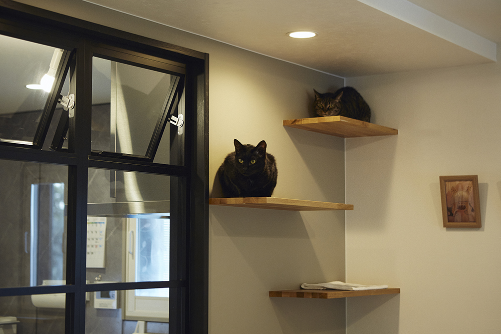 家族とペットが心地よく過ごす、“快適性×デザイン性”を追求した癒しの家｜埼玉県さいたま市