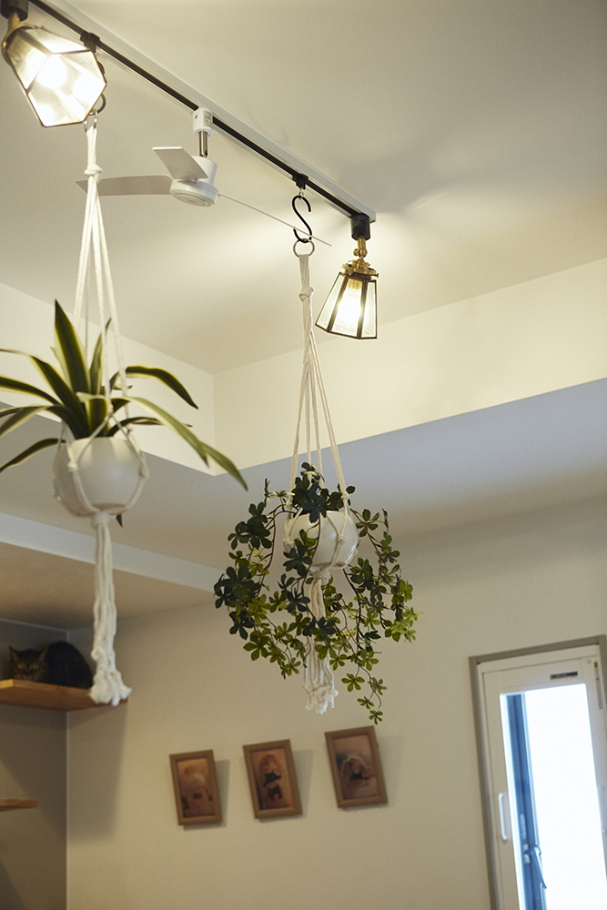 家族とペットが心地よく過ごす、“快適性×デザイン性”を追求した癒しの家｜埼玉県さいたま市