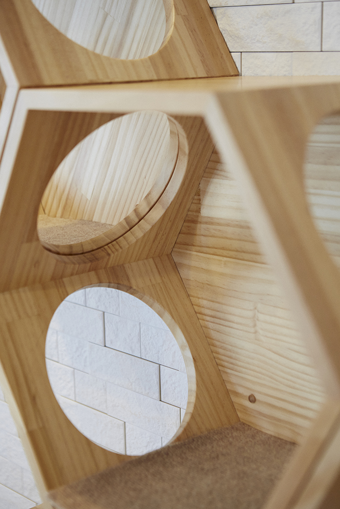 家族とペットが心地よく過ごす、“快適性×デザイン性”を追求した癒しの家｜埼玉県さいたま市