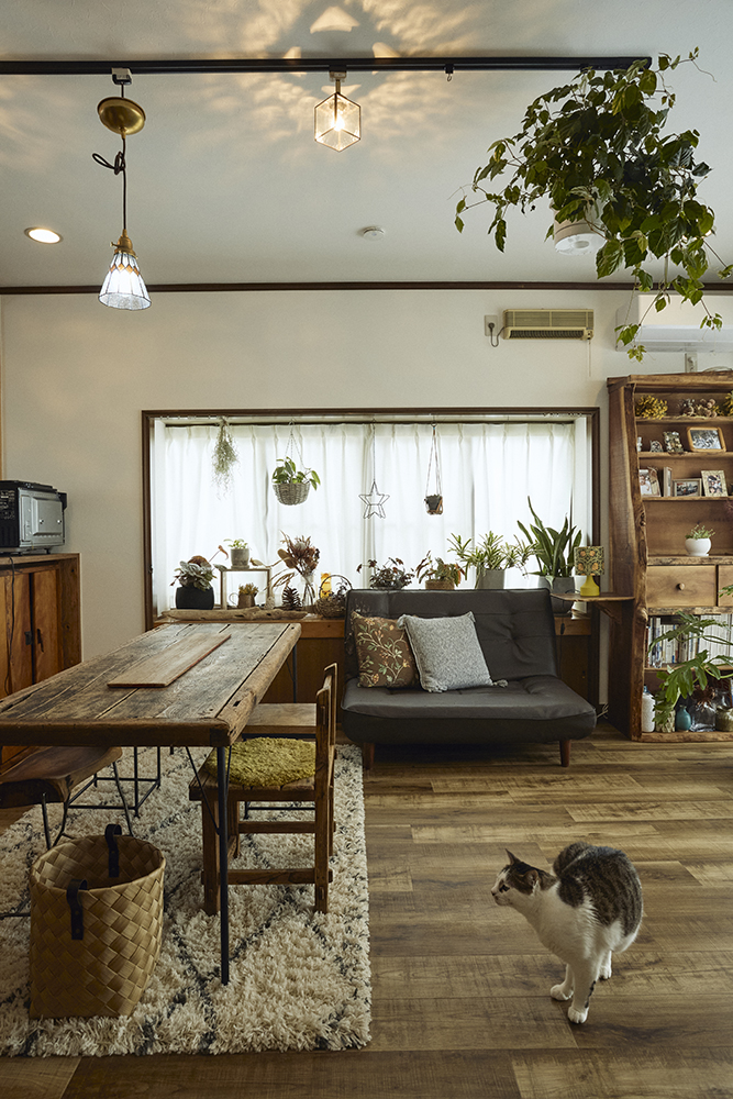観葉植物と古材が馴染む自分らしく暮らせるリノベーション｜埼玉県北本市