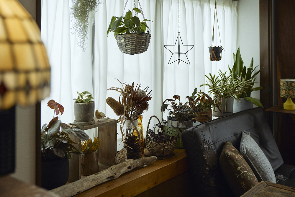 観葉植物と古材が馴染む自分らしく暮らせるリノベーション｜埼玉県北本市