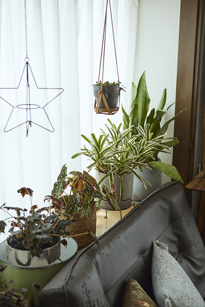 観葉植物と古材が馴染む自分らしく暮らせるリノベーション｜埼玉県北本市