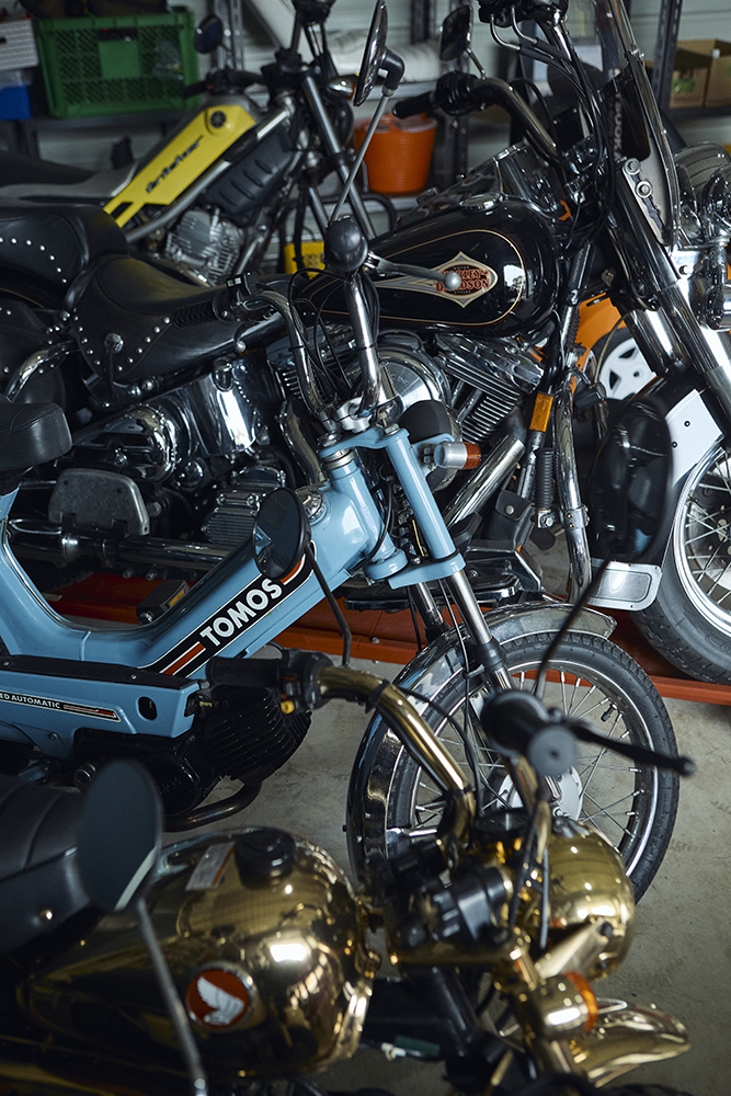 観葉植物と古材が馴染む自分らしく暮らせるリノベーション｜埼玉県北本市