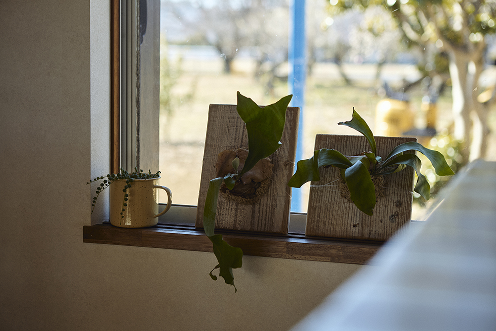 50年の記憶を受け継ぐ、あたたかな古民家リノベーション｜埼玉県桶川市