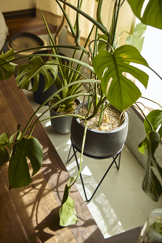 造作キッチンとヌック、書斎があるジブリのような世界観の住まい