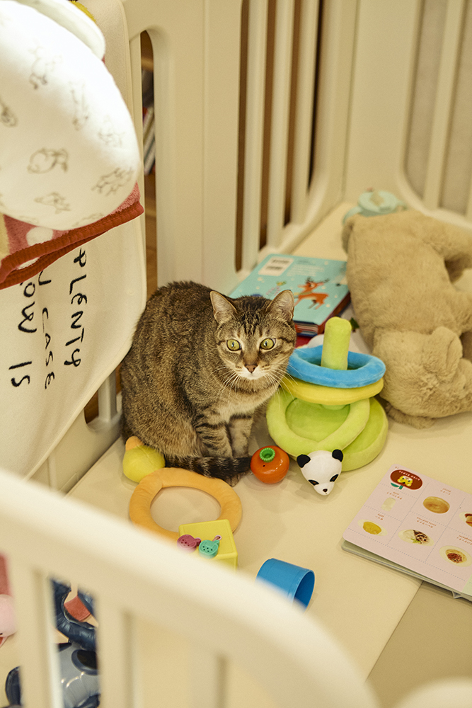 光と風がめぐる、回遊動線と吹き抜けのある暮らし｜埼玉県上尾市